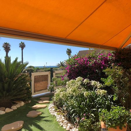 Le Jardin De La Plage - T2 - Terrasse Jardin 30M2 - Piscine - Clim- Wifi -Parking 卡内 外观 照片